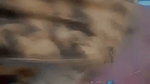 Young GF Masturbating – Close-Up Fingering 5