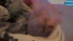 Young GF Masturbating – Close-Up Fingering 5