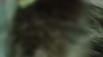dont put it in the ass 1