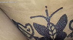 Butterfly drawing sex