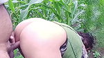 Devar apni Badi bhabhi ko khet mein Le jakar bade boobs Ko dabakar bade Gand GhodBanakar makkhi khet mein chod raha hai apne sagi bhabhi ko