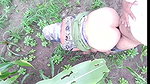 Devar apni Badi bhabhi ko khet mein Le jakar bade boobs Ko dabakar bade Gand GhodBanakar makkhi khet mein chod raha hai apne sagi bhabhi ko