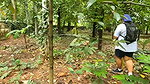 House wife on vacation, walking naked in jungle. Exposing her sexy ass and bigg boobs