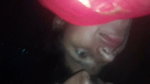 Indian (18+) desi girlfriend and boyfriend reel homemade hd video