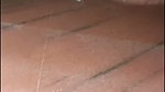 Indian village stepmom Peeing And sucking cock, hot young man