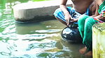 kaamwali fucking videos