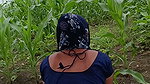 Mere Sghi bade bhai ki biwi ko aaj mauka dekh Makka ki khet mein moti gand mein land ke upar bithakar ke apni moti gand chut chudwa rahi bha