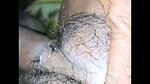 Nice village indian bhabi hardcor all time sex videos Bengali