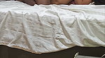 Quick Blowjob incomplete missionary sex
