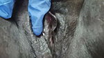 When I fingered the dark pussy of the local girl