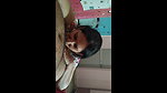 Beautiful South Milf Blowjob