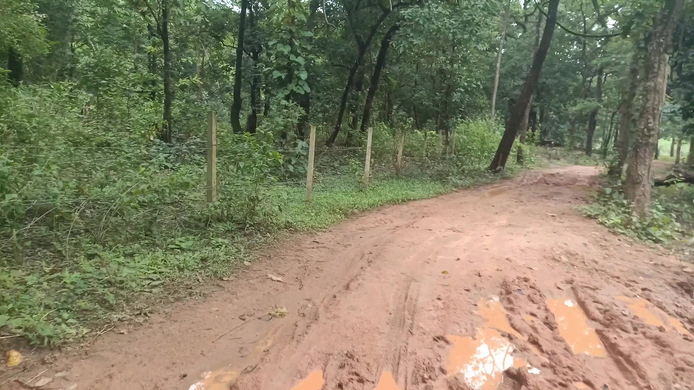 My stepbrother called and fucked in the woods famousvid3
