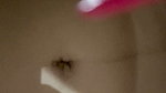 Tinanandi_BG_12