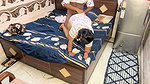 Desi Husband And Hot Indian Wife Full Night Hardcore Sex Marathon In Bedroom