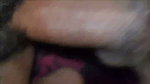 Rasili shh
