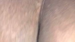 Beautiful Tamil girl cheating husband sucking hard cock. Part 2