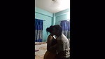 BEAUTIFU CHEATER BENGALI MAAL PUSSY LICKING, SUCKING DICK & FUCKING HARD~ 8 CLIPS 6