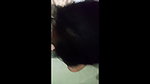 BEAUTIFU CHEATER BENGALI MAAL PUSSY LICKING, SUCKING DICK & FUCKING HARD~ 8 CLIPS 7