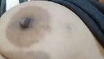 DESI BEAUTIFUL BHABHI AFFAIR BIG MILKY BOOBS & FINGERING HER HAIRY PUSSY SHOWING ON VC HD VIDEO