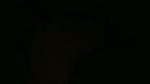 Chaahat Tango privat