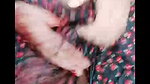 hot girl chamet private show