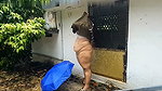 BUSTY_INDIAN_AUNTY_NUDE_WALKING_ON_ROOFTOP AND ENJOY THE RAIN