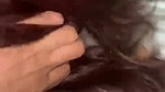 BigAss Horny Desi Baddie Blowjob Hard Doggy Fuck Riding On Dick 5