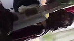 Neibour Bhabhi Bathing Capture 1
