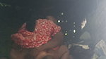 Aunty’s Bald Husband Puts His Entire Penis Into Aunty’s Pussy