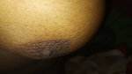 Bangla Sexx Porn Mp4