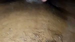 Desi Bhabhi Sex