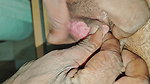 Desi Sex