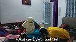 Cuckold Desperate Housewife