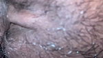 Enjoyed sex in Dog Estai to the fullest