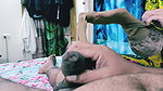 Hot MILF Gets a fat cock