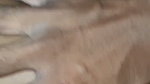Husband Sex with Wife in Home