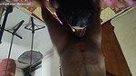 Husband wife dirty talking sex