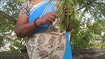 Indian Brother and Step Sister Sex
