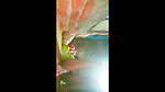 Indian girlfriend fucked by Dewar from sarita village before here sex outdoors video