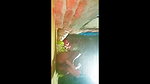 Indian girlfriend fucked by Dewar from sarita village before here sex outdoors video