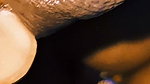 Indian wife sucking husband dick. Plowjob