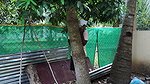 Neighbour and bathing aunty