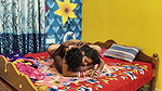New married bhabhi ke sath bedroom per desi style Fucking in bhabhi devar ka chudai