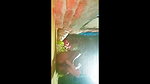 Sarita village hasbend wife sex outdoors morning sex videos