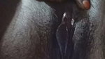 G__29_(1)