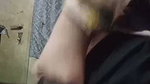 Innocent Looking Hijabi Babe Showing Bigass Asshole Masturbating Updates 39