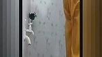 Married Bhabi Bathing