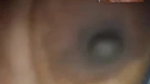 Desi Bhabi Showing On VideoCall