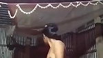 Horny Village Girl Masturbating