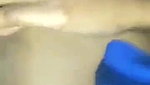 Young girl fucking